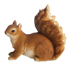 37000238 Squirrel S